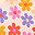 Pink Flowers
