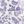 Purple Flower