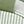 Sage Green White