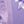 Purple Longlace Dancer