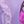 Purple Longlace Shoe