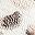 Snow Leopard