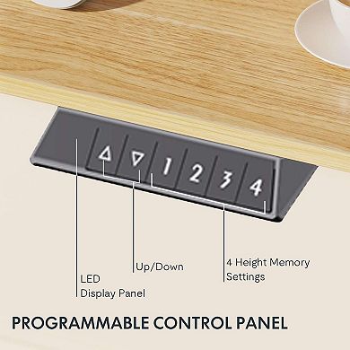 YIORTWO 48 Inch Electric Standing Desk Adjustable Computer Desk for Kids Home Study Room