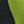 Black Green