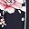 Navy Floral