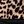 Leopard Black