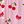 Pink Cherry