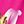 Pink Lily Flower