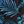 Black Blue Leaf