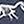Dinosaur Skeleton