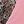Black Leopard Pink