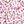 Black Pink Flower