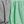 Dark Grey Green