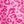 Hot Pink Leopard