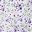 Floral White Purple