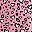 Pink Leopard