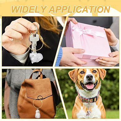 2Pcs Cat Hair Collector Keychain with Tweezers, Clear Pet Fur Storage Locket & Memory Keepsake