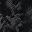 Black Gray