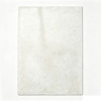 Soft Thick Area Rug Non Slip High-Pile Shag Carpet for Bedroom Living Room Hall Entryway