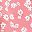 Pink Flower