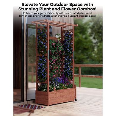 43x17x72 Inch Wooden Planter Box with Trellis and Hanging Roof