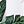 Dark Green Hawaii