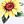 Whitesunflower