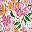 Pink Floral