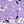 Purple Floral