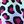 Rainbow Leopard Multi