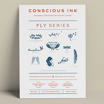 Fly Variety 10-Pack
