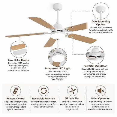 52-Inch Ceiling Fan with Adjustable Lighting and Customizable Airflow for Year-Round Comfort