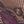 Black Purple