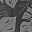 Black Gray