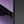 Purple Black
