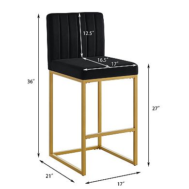 Trikiousd Counter Height Bar Stools Set of 2 with Full Backrest and Metal Legs