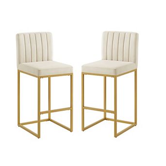 Trikiousd Counter Height Bar Stools Set of 2 with Full Backrest and Metal Legs