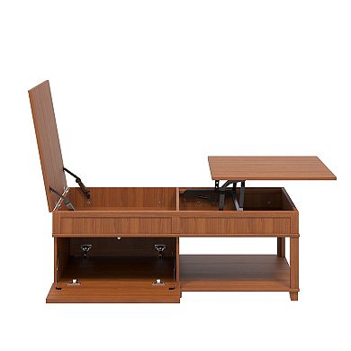 Trikiousd Lift Top Coffee Table with Hidden Compartment and Storage Shelf