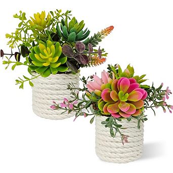 Artificial Succulent Plants in Pots, Small Faux Indoor Desk & Home Decor
