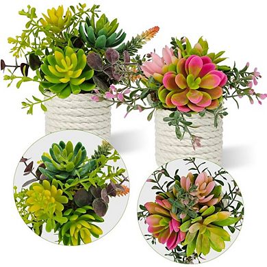 Artificial Succulent Plants in Pots, Small Faux Indoor Desk & Home Decor