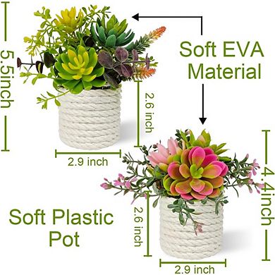 Artificial Succulent Plants in Pots, Small Faux Indoor Desk & Home Decor