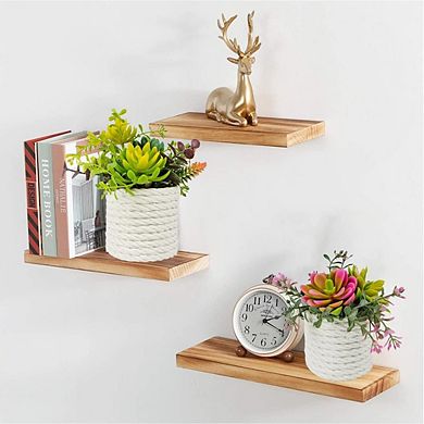Artificial Succulent Plants in Pots, Small Faux Indoor Desk & Home Decor