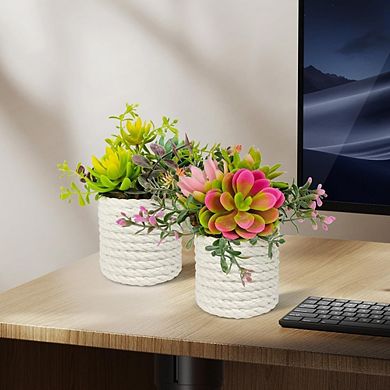 Artificial Succulent Plants in Pots, Small Faux Indoor Desk & Home Decor