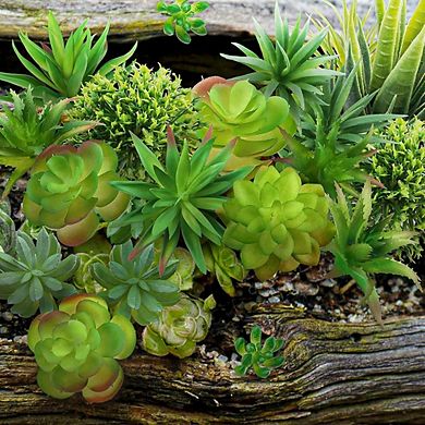 Artificial Succulents Mini Plants, Realistic Faux Decor for DIY Craft & Home