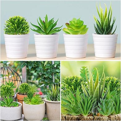 Artificial Succulents Mini Plants, Realistic Faux Decor for DIY Craft & Home
