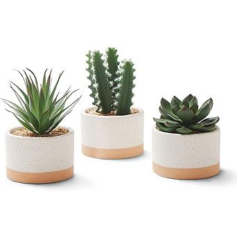 Artificial Succulent Plants Set of 3 in Ceramic Pots, Faux Home & Office Decor