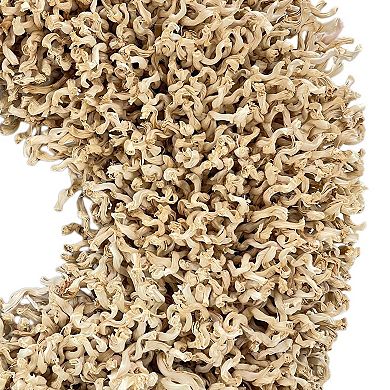 HomeRoots 23" Natural Maize Dried Wreath