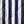White Navy