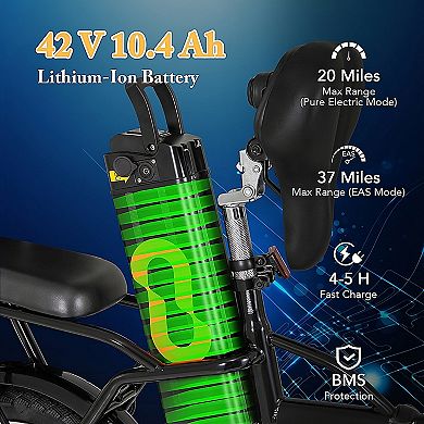 Folding Electric Bike 500W Motor Dual Disc Brakes LCD Display