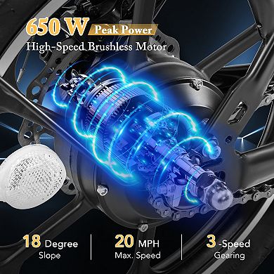 Folding Electric Bike 500W Motor Dual Disc Brakes LCD Display